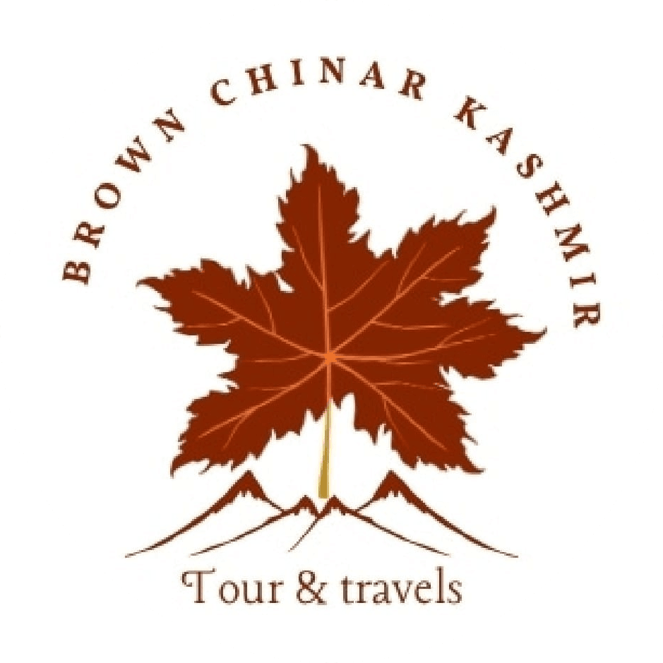 Travel Guide to Dal Lake : Kashmir's Jewel - Brown Chinar Tour And Travel