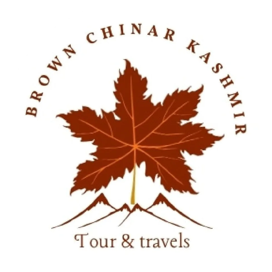 Brown Chinar Tour And Travel