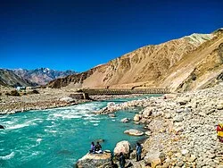 ladakh brown chinar kashmir