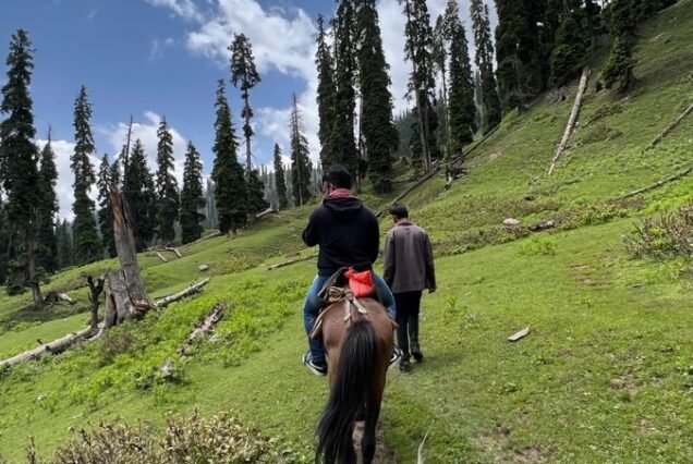Kashmir Tour Package 3 Night 4 Days