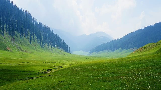 Bangus Valley