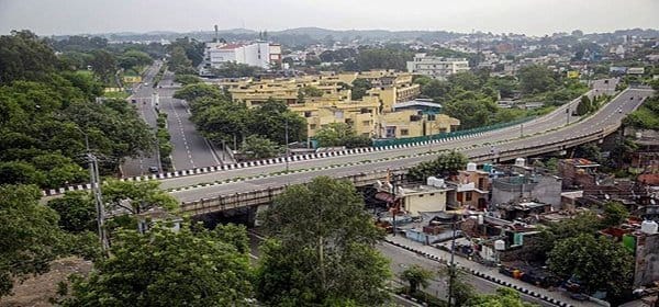jammu brown chinar kashmir