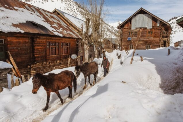 Gurez valley in winter brown chinar kashmir scaled