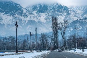 Gurez valley in winter brown chinar kashmir