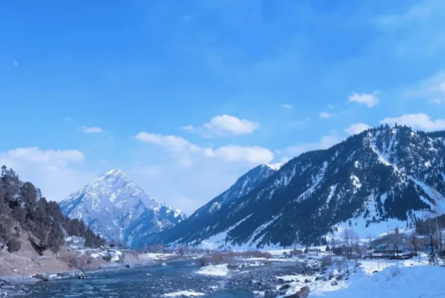 Gurez valley in winter brown chinar kashmir
