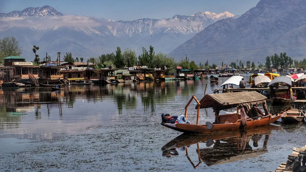 How to Reach Srinagar from Delhi brown chinar kashmir