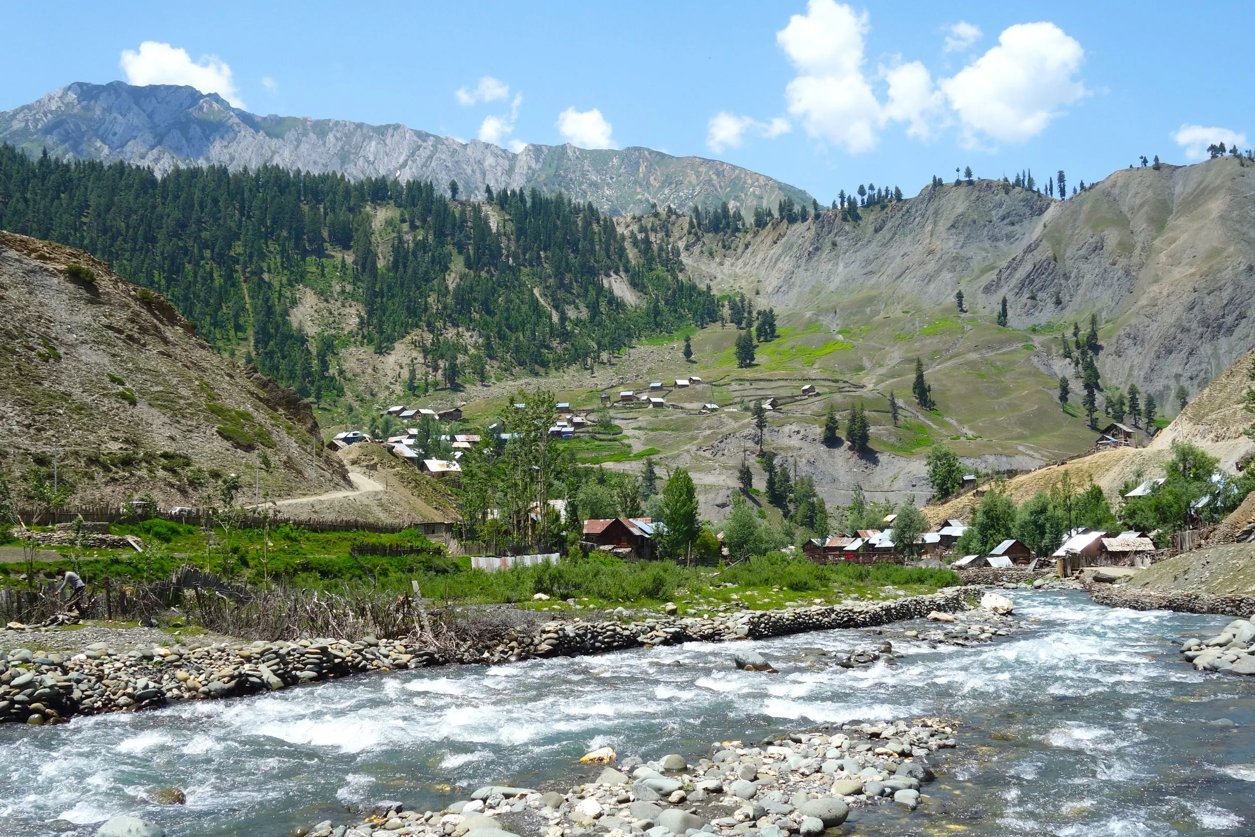Kashmir Secret Spots brown chinar kashmir