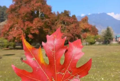 Autumn in Kashmir