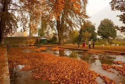 Autumn in Kashmir