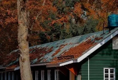 Autumn in Kashmir