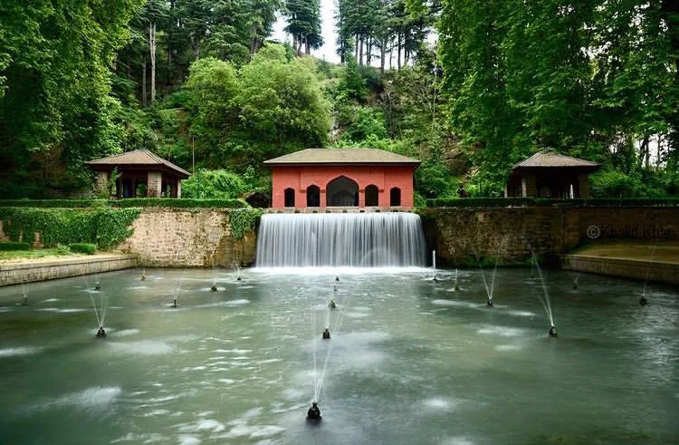 achabal spring kashmir brown chinar kashmir