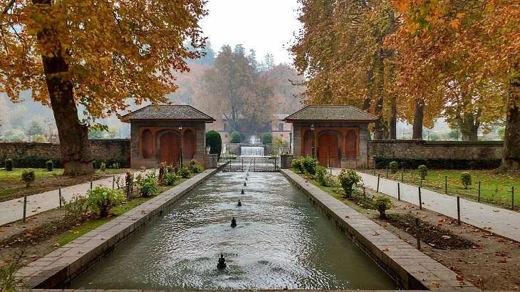 achabal kashmir brown chinar kashmir
