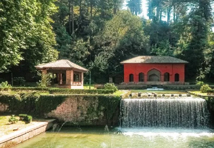 achabal spring kashmir brown chinar kashmir