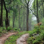 Dachigam National Park