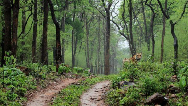 Dachigam National Park