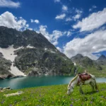 Gadsar Lake