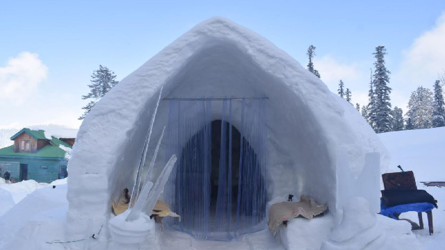 Igloo Café