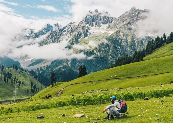 kashmir offbeat tour packages brown chinar kashmir
