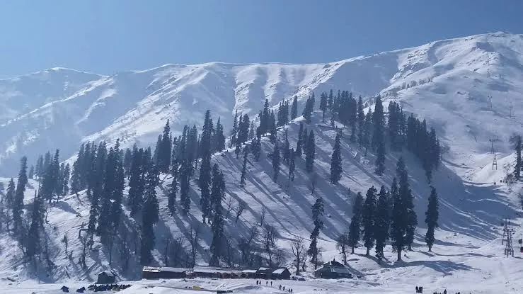 khilanmarg gulmarg brown chinar kashmir