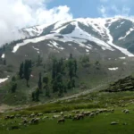 Khilanmarg Gulmarg