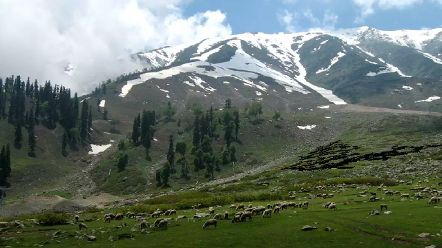 Khilanmarg Gulmarg