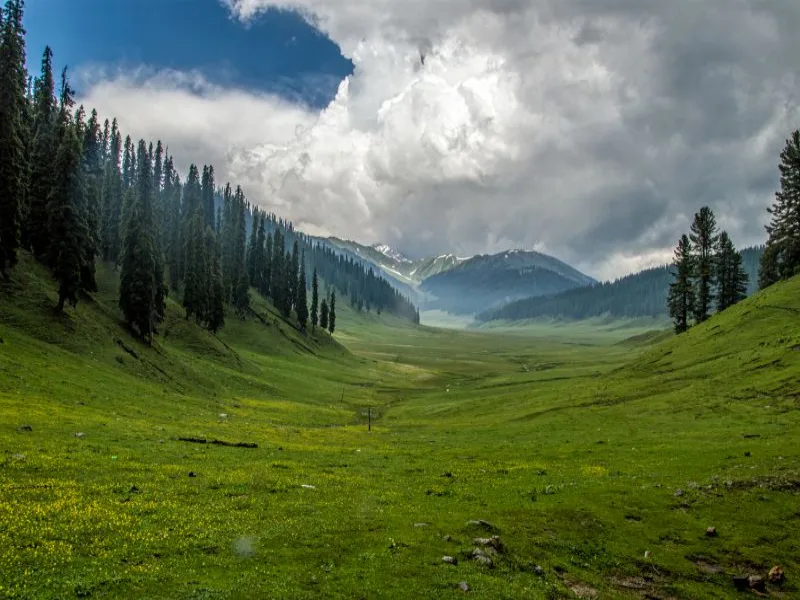 lolab valley kashmir brown chinar kashmir