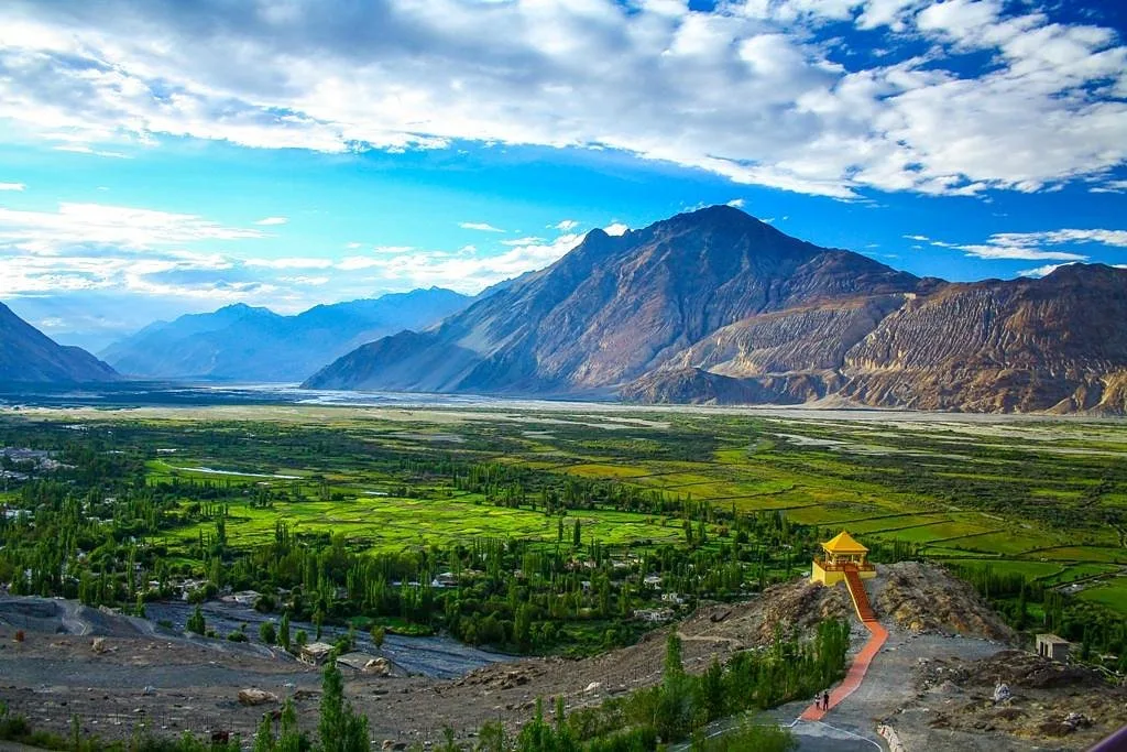 nubra valley brown chinar kashmir 1