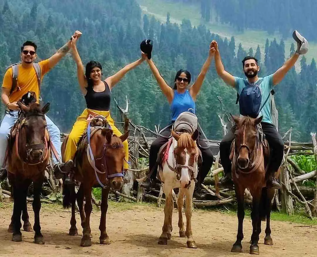 Kashmir Horse Ride Destinations brown chinar kashmir