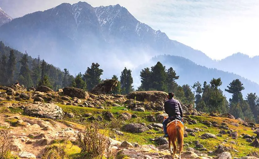 Kashmir Horse Ride Destinations brown chinar kashmir