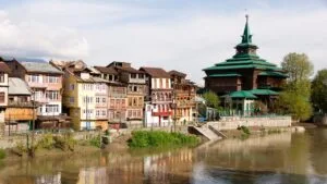 Tour of Historic Old Srinagar City brown chinar kashmir