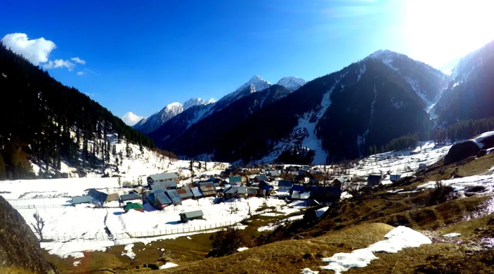 Aru Valley brown chinar kashmir