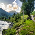 Aru Valley brown chinar kashmir