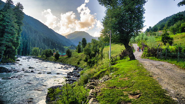 Aru Valley brown chinar kashmir