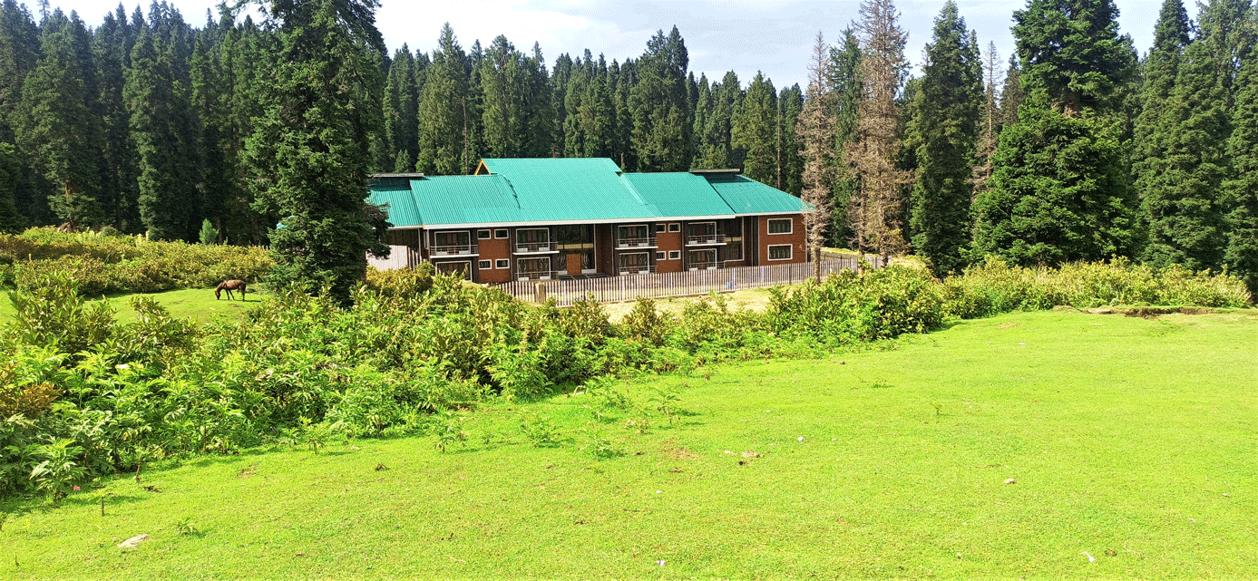 Best Hotels in Doodhpathri brown chinar kashmir