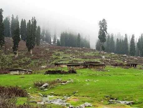 Botapathri Gulmarg brown chinar kashmir