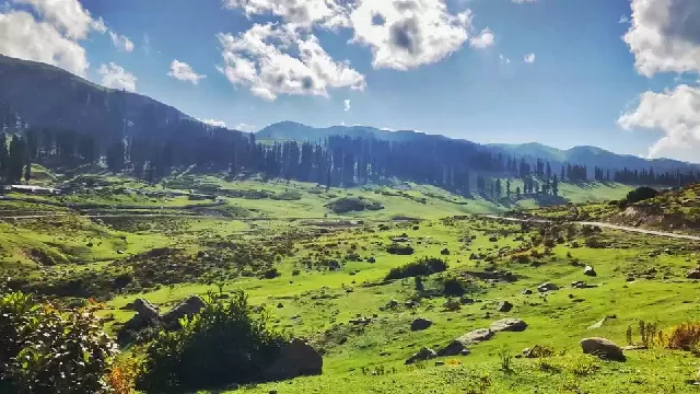 How to Reach Gulmarg from Srinagar