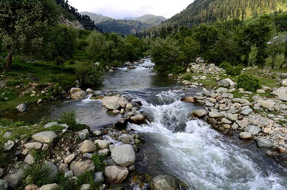 Daksum Valley brown chinar kashmir