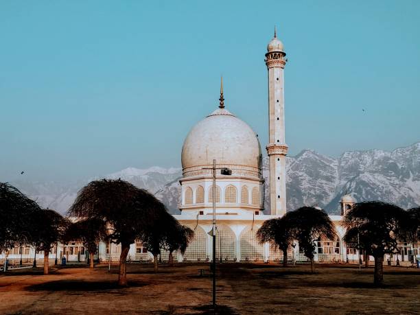 Hazratbal Shrine in Kashmir brown chinar kashmir