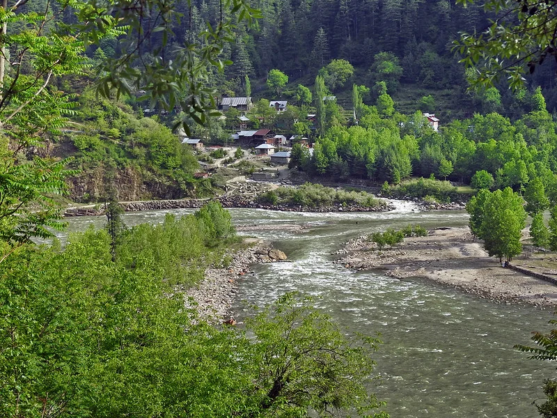 Keran Valley brown chinar kashmir 1