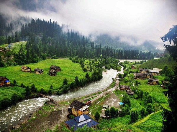 Keran Valley brown chinar kashmir