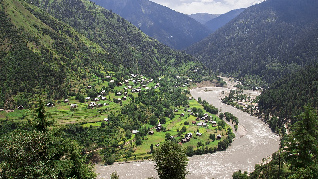 Keran Valley brown chinar kashmir