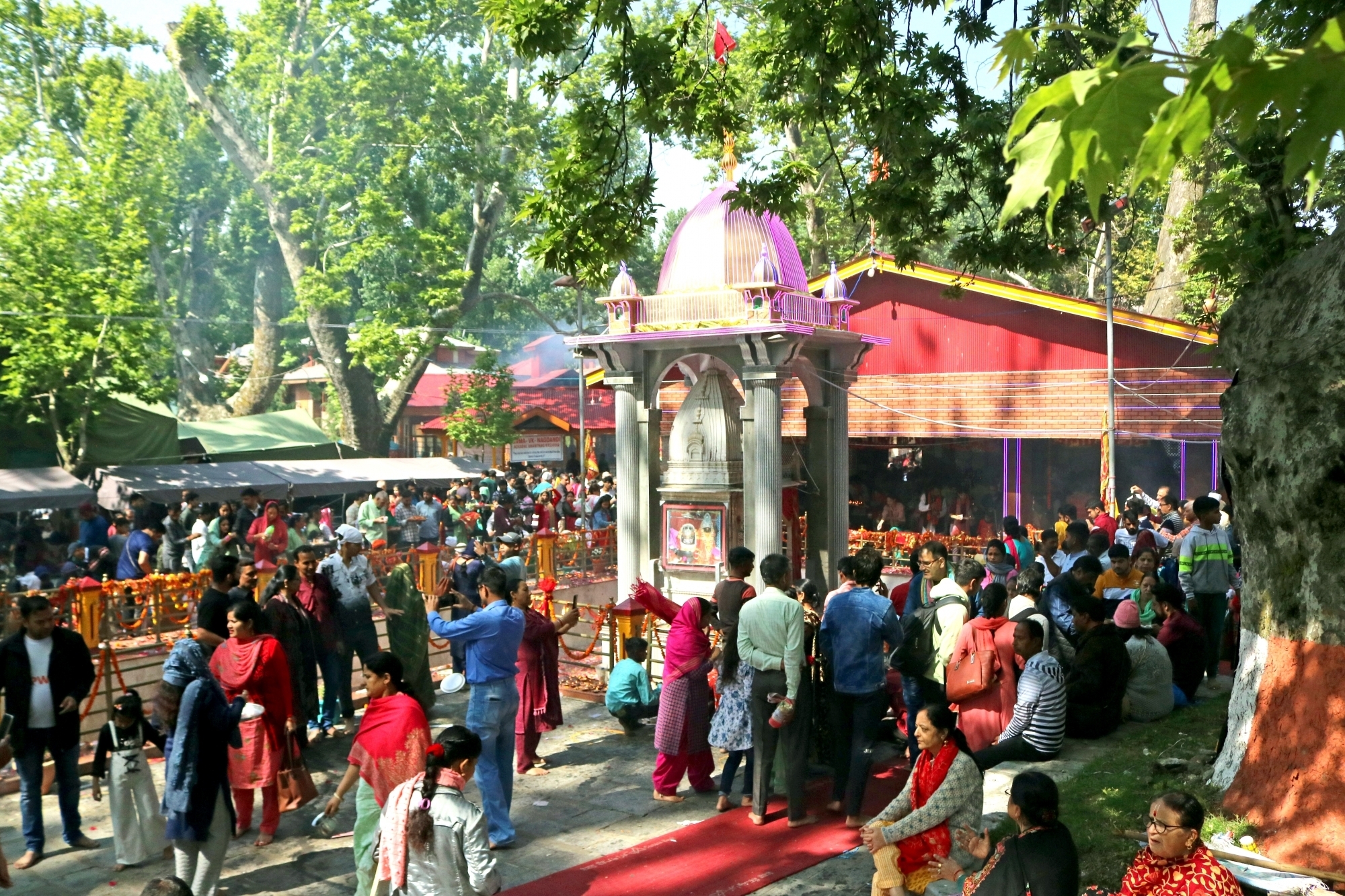 Kheer Bhawani Mela in Kashmir brown chinar kashmir