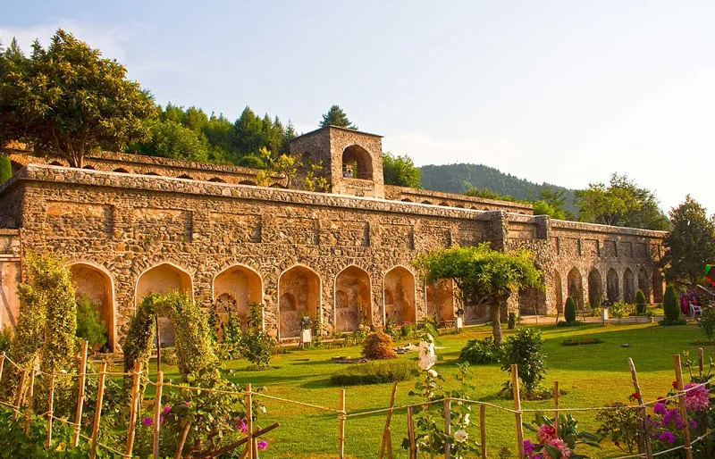 Pari Mahal brown chinar kashmir