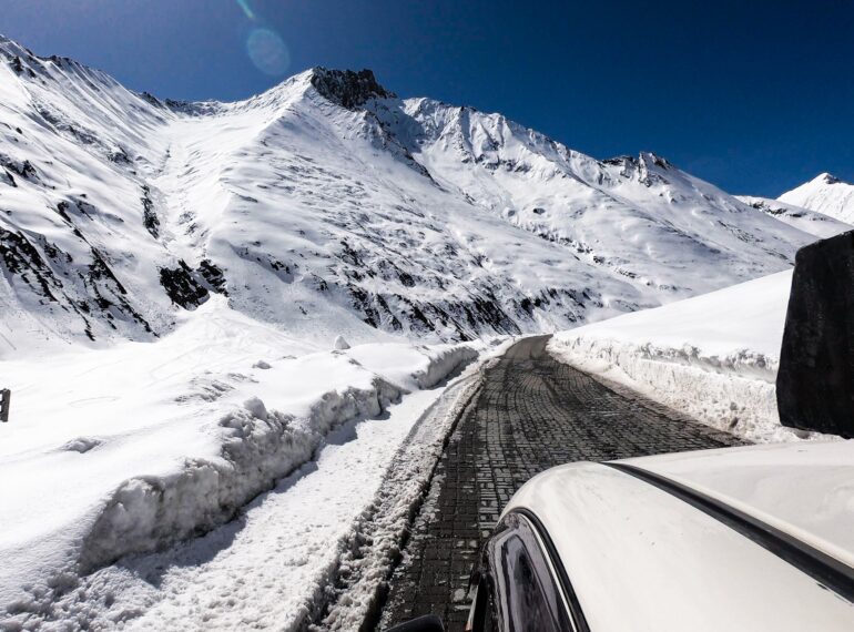 Zojila Pass brown chinar kashmir 1