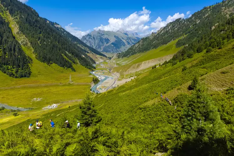 nagin valley in kashmir brown chinar kashmir