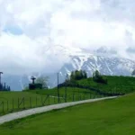 nagin valley in kashmir brown chinar kashmir