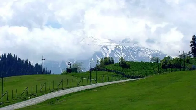 nagin valley in kashmir brown chinar kashmir