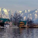 nigeen lake in kashmir brown chinar kashmir