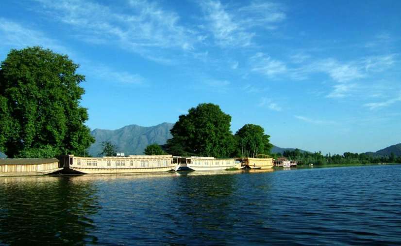 nigeen lake in kashmir brown chinar kashmir