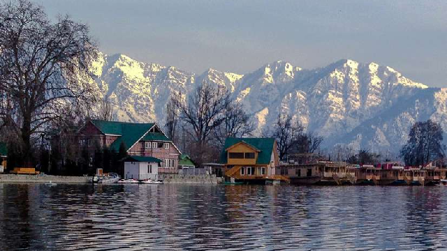 nigeen lake in kashmir brown chinar kashmir